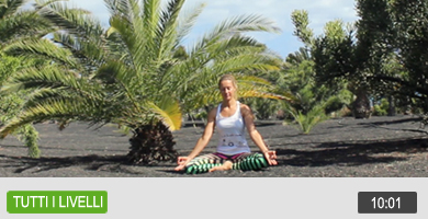 Meditazione dell’albero