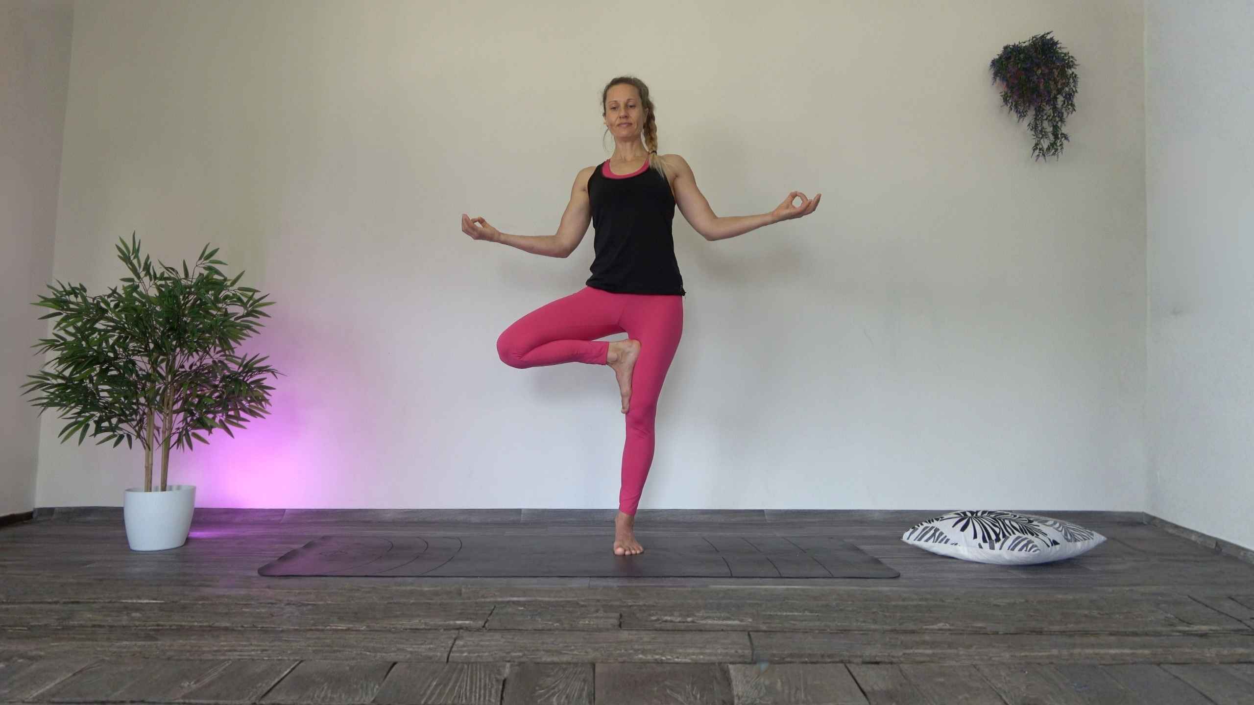 I mudra e le posizioni di equilibrio
